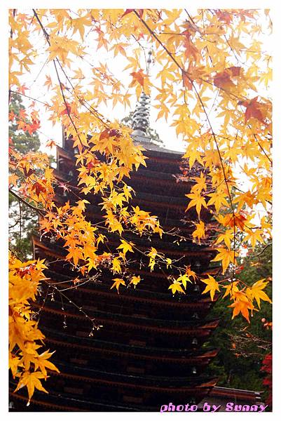 談山神社25.jpg