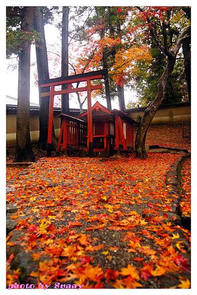 東大寺17.jpg