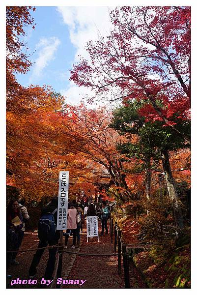 常寂光寺4.jpg