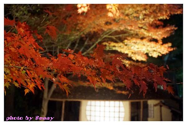 高台寺5.jpg