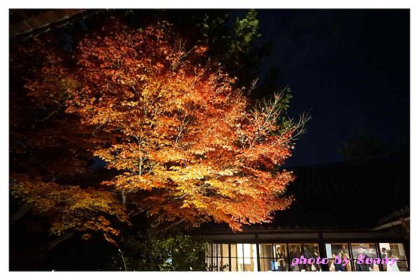 高台寺7.jpg