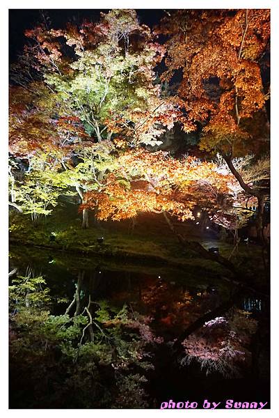 高台寺19.jpg