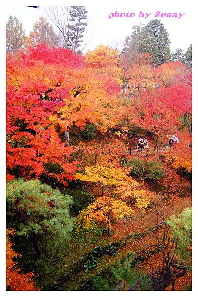 東福寺11.jpg