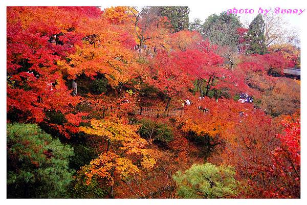 東福寺13.jpg