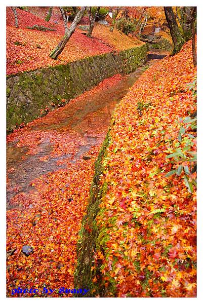 東福寺34.jpg