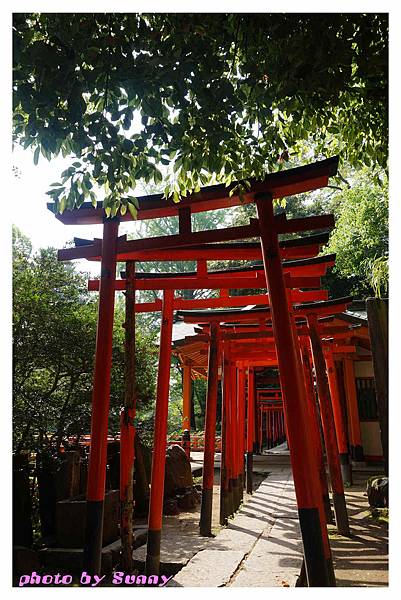 根津神社13.jpg