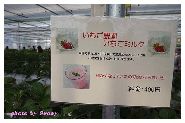 草莓園10.jpg