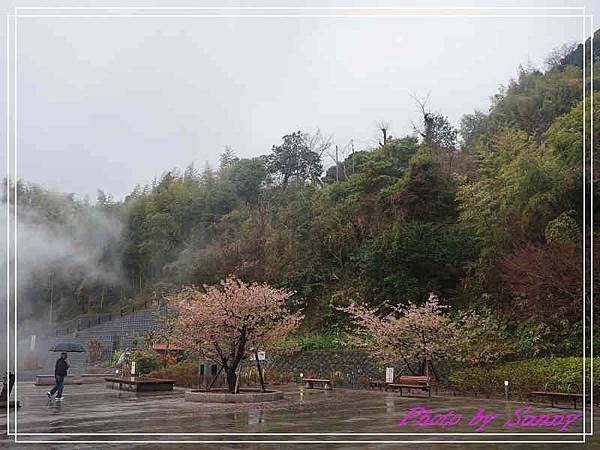 峰溫泉大噴湯公園15.jpg