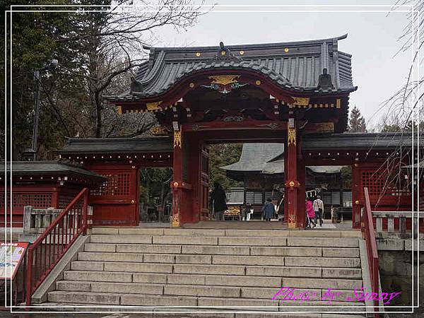 秩父神社29.jpg