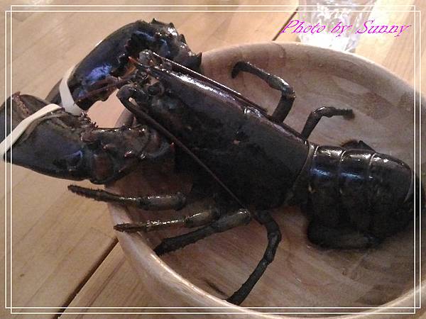 龍波斯特14.jpg 龍波斯特14.jpg