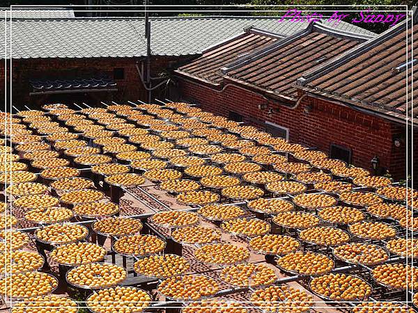 金漢10.jpg 金漢10.jpg