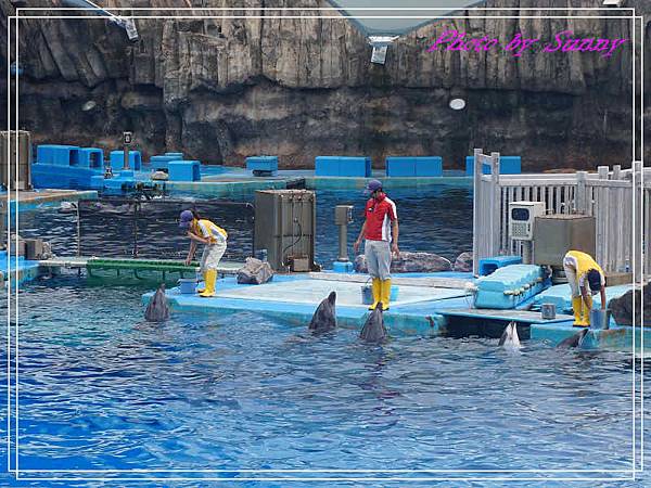 名古屋港水族館11.jpg