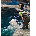 名古屋港水族館39.jpg