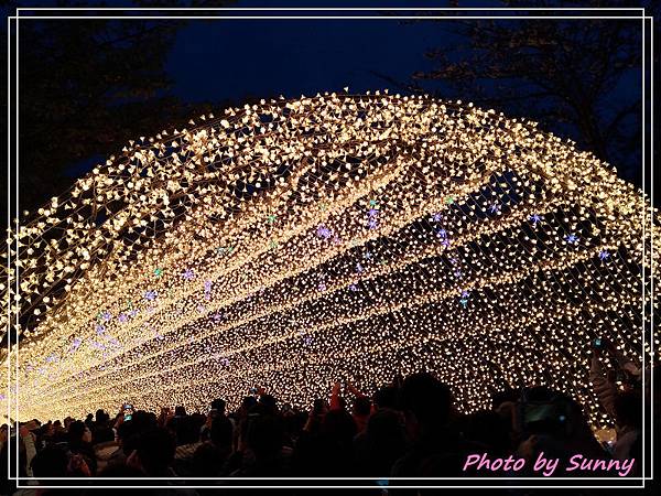 名花之里夜景1.jpg 名花之里夜景1.jpg