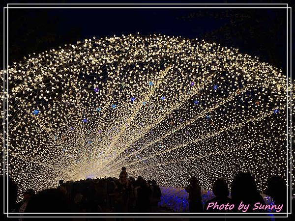 名花之里夜景21.jpg 名花之里夜景21.jpg
