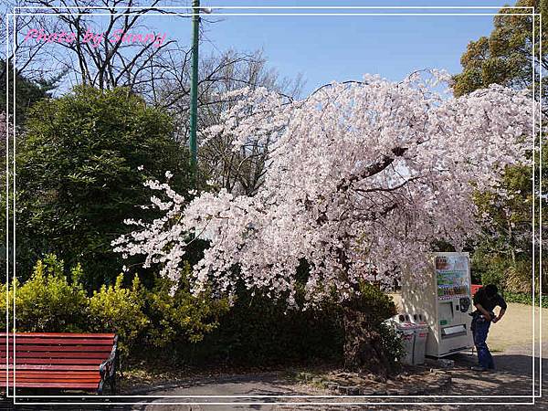 東山動植物園7.jpg 東山動植物園7.jpg