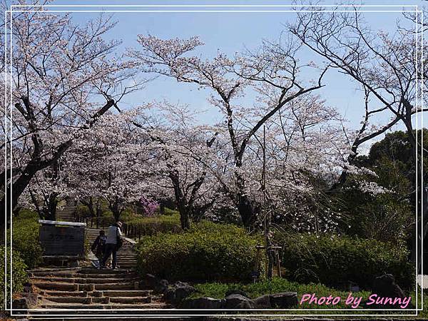 東山動植物園8.jpg 東山動植物園8.jpg