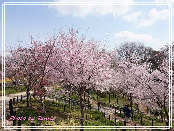 東山動植物園10.jpg 東山動植物園10.jpg
