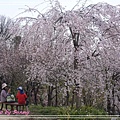 東山動植物園14.jpg