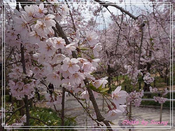 東山動植物園15.jpg 東山動植物園15.jpg