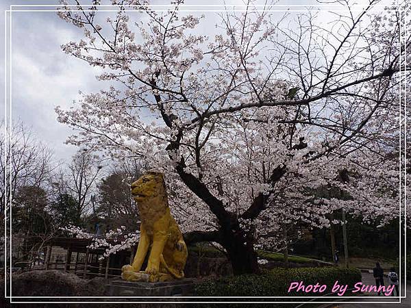 東山動植物園26.jpg 東山動植物園26.jpg