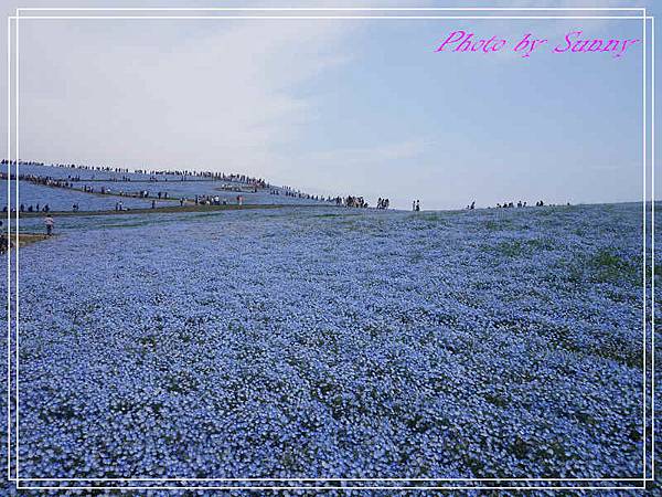 茨城常陸濱海花園7.jpg