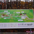 紅櫻公園4.jpg