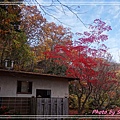 紅櫻公園12.jpg