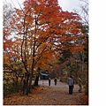 紅櫻公園21.jpg