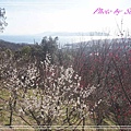 須磨浦山上遊園35.jpg