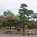 德島中央公園2.jpg