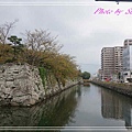 德島中央公園19.jpg