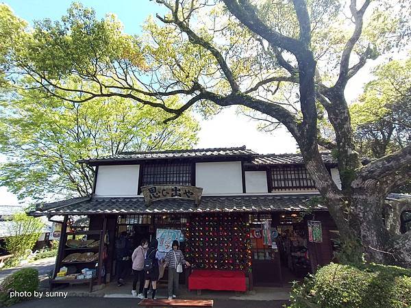 2023春 九州賞櫻趣❤九州博多 能古島公園のこのしまアイラ