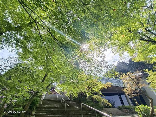 2023春 九州賞櫻趣❤九州 寶滿宮竈門神社❤