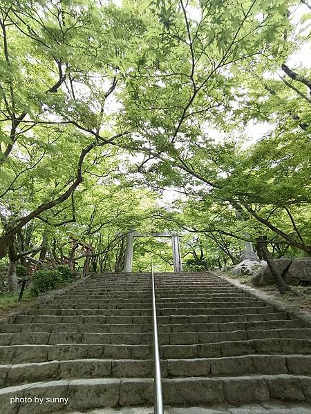 2023春 九州賞櫻趣❤九州 寶滿宮竈門神社❤