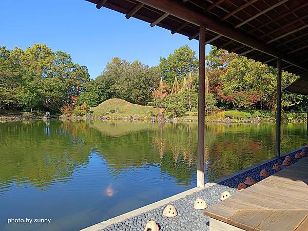 2023冬 日本北陸賞楓行❤福井 養浩館庭園❤