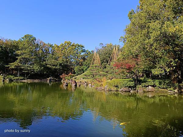 2023冬 日本北陸賞楓行❤福井 養浩館庭園❤