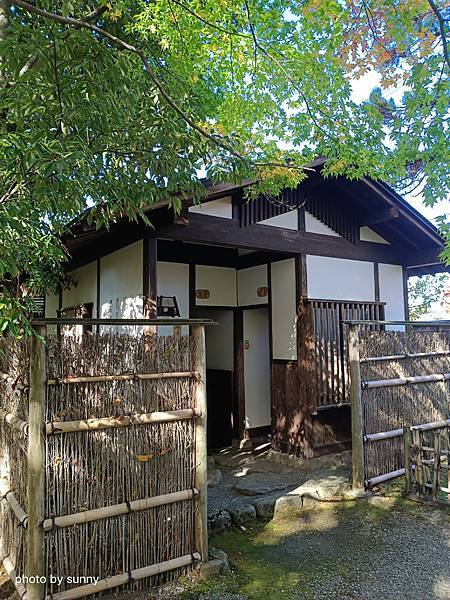 2023冬 日本北陸賞楓行❤福井 養浩館庭園❤