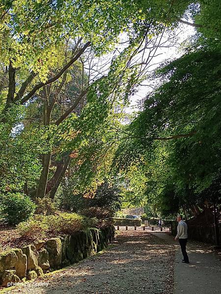 2023冬 日本北陸賞楓行❤富山縣高岡市  高岡古城公園❤