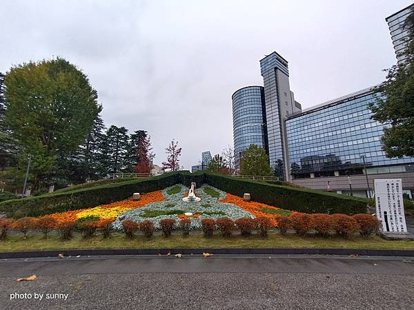 2023冬 日本北陸賞楓行❤富山縣富山市   富山城址公園&