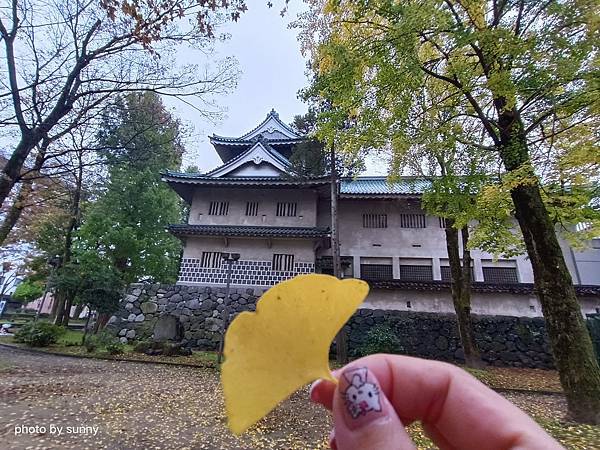 2023冬 日本北陸賞楓行❤富山縣富山市   富山城址公園&