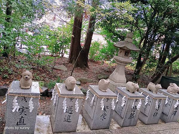 2023冬 日本北陸賞楓行❤富山縣富山市 日枝神社 ❤