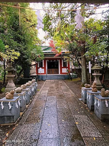 2023冬 日本北陸賞楓行❤富山縣富山市 日枝神社 ❤