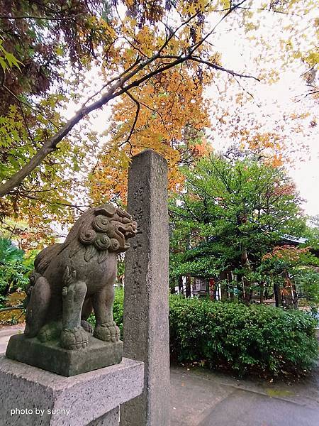 2023冬 日本北陸賞楓行❤富山縣富山市 日枝神社 ❤