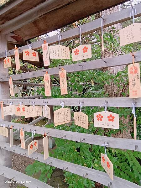 2023冬 日本北陸賞楓行❤富山縣富山市  日枝神社 ❤