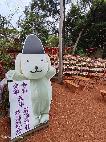 2023冬 日本北陸賞楓行❤石川縣金澤市 石浦神社 ❤