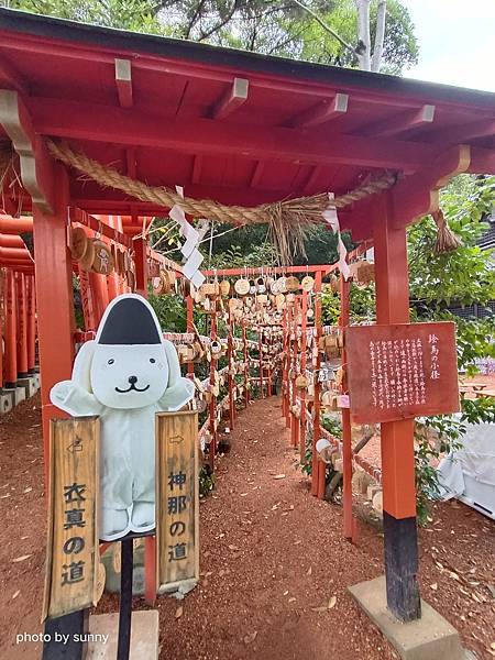 2023冬 日本北陸賞楓行❤石川縣金澤市 石浦神社 ❤