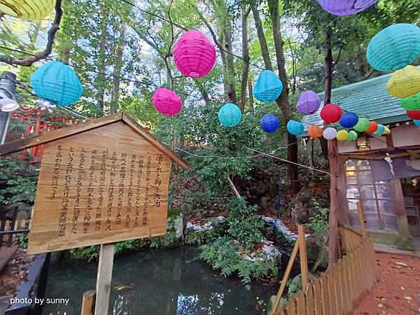 2023冬 日本北陸賞楓行❤石川縣金澤市 石浦神社 ❤