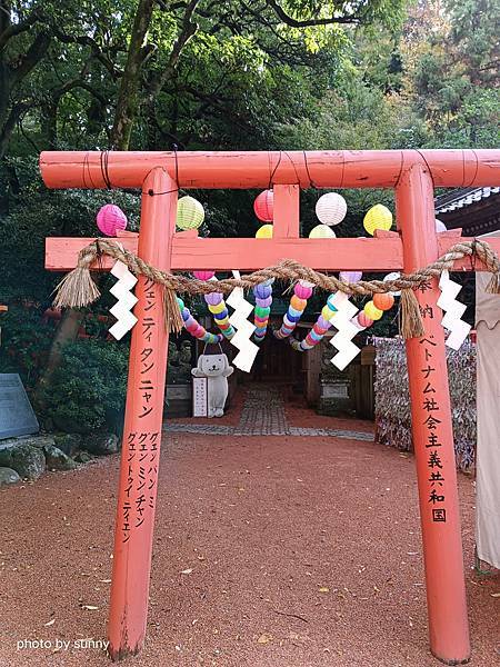 2023冬 日本北陸賞楓行❤石川縣金澤市 石浦神社 ❤