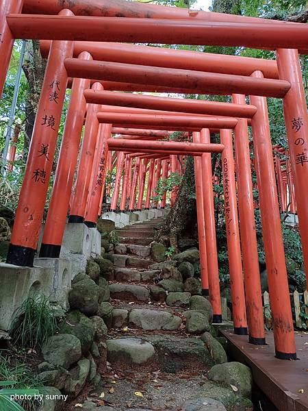 2023冬 日本北陸賞楓行❤石川縣金澤市 石浦神社 ❤